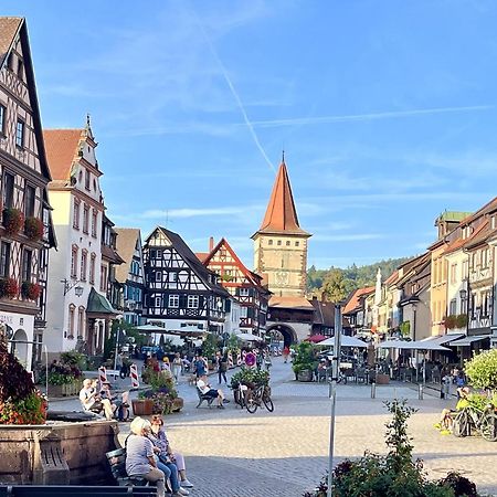 Coucou - Nest Im Schwarzwald Apartman Gengenbach Kültér fotó