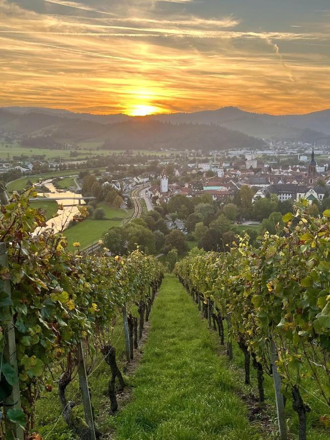 Coucou - Nest Im Schwarzwald Apartman Gengenbach Kültér fotó